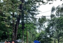 Peringati Hari Lingkungan Hidup, DLH Batola Gelar Aksi Tukar Sampah Jadi Sembako: Solusi di Tengah Krisis Sampah