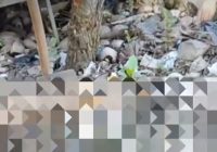 BREAKING NEWS Pria Diduga Meninggal Dunia di Jalan Tembus Mantuil