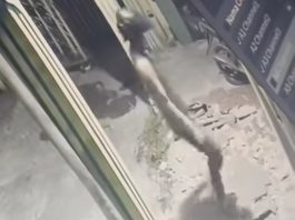 Aksi Pencurian di Jalan Melati Banjarmasin Terekam CCTV