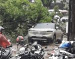Pohon Tumbang Menimpa Mobil di Jalan Panglima Batur