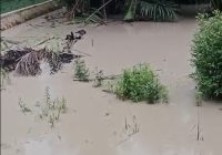 Air Sungai Sikontan Diduga Tercemar, Warga Harapkan Ada Penanganan Serius