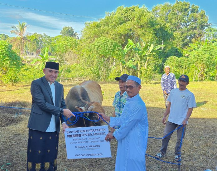 Warga Tala Senang Dapat Sapi Kurban 1 Ton dari Presiden Prabowo