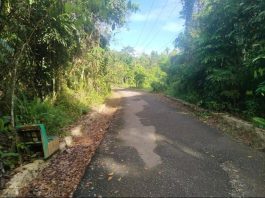 Dinas PUPR Balangan Tanggapi Keluhan Warga Jalan di Desa Piyait Belum Juga Diaspal