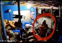 Aksi Maling Bawang Putih di Landasan Ulin Terekam Kamera CCTV