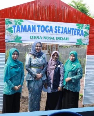 Posyandu Nusa Indah Tanah Laut Berjuang Raih Prestasi Tingkat Provinsi Kalsel