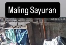 Aksi Maling Gondol Sekarung Sayur di Pasar Sentra Antasari Banjarmasin Terekam Kamera CCTV