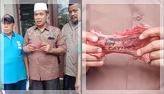 ANEH! Nama Pekurban Tiba-Tiba Muncul di Paru-Paru Sapi, Warga Pondok Aren Syok: “Tanda Kebesaran Allah?”