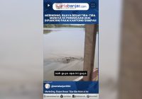 VIDEO - Merinding, Buaya Besar Tiba-tiba Muncul ke Permukaan Usai Dipancing Pakai Kantong Sampah