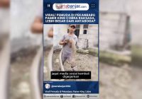 VIDEO - Viral! Pemuda di Pekanbaru Pamer King Cobra Raksasa, Lebih Besar dari Antaboga?