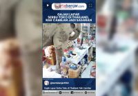 VIDEO - Gajah Lapar Serbu Toko di Thailand, Rak Camilan Jadi Sasaran
