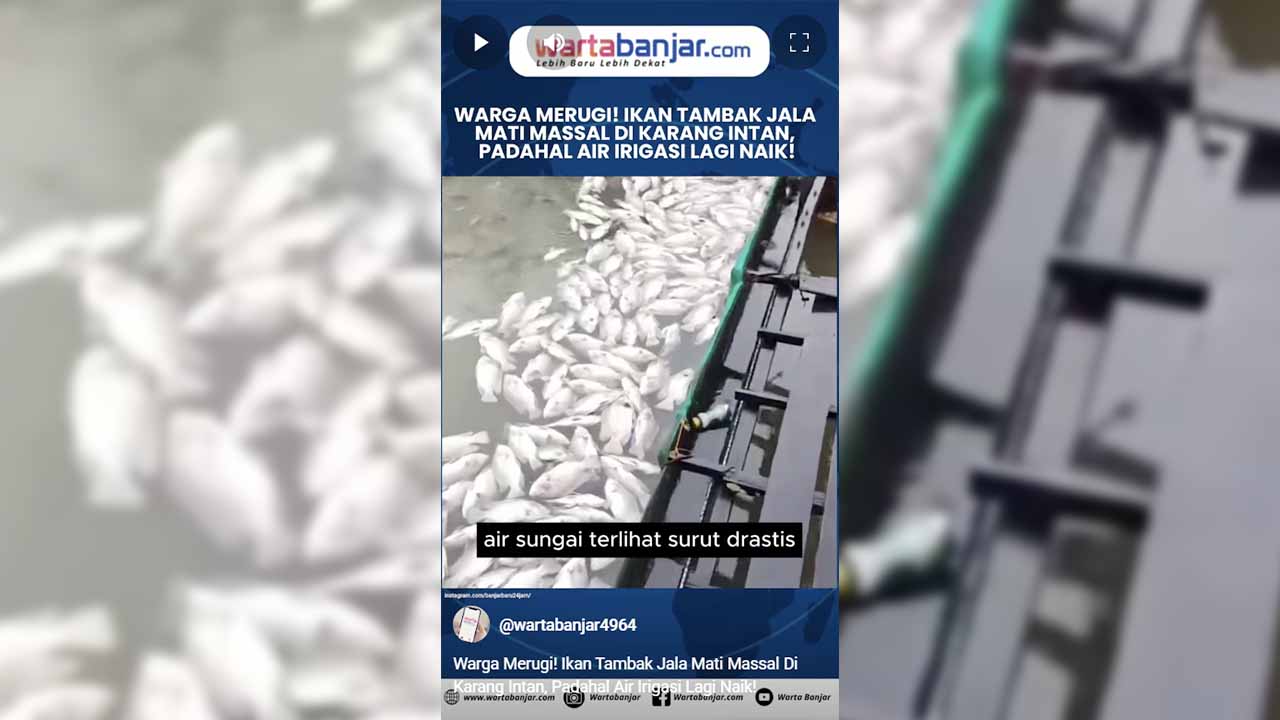 ikan tambak