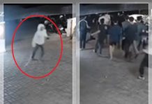 DETIK-DETIK Seorang Gengster Bersenjata Tajam Serbu Kafe di Banjarbaru, Pengunjung Balas Melawan
