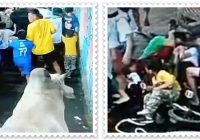 GEGER! Sapi Kurban Mengamuk di Bandung, 5 Terluka & 1 Anak Patah Tangan, Netizen: Jangan Pakai Baju Mencolok