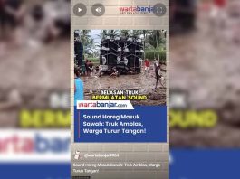 VIDEO - Sound Horeg Masuk Sawah: Truk Amblas, Warga Turun Tangan!