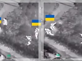 SADIS! Video Tentara Ukraina Eksekusi Temannya Sendiri yang Kabur dari Garis Depan, Netizen Geram: "Kenapa Bukan Zelensky?"