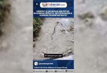 VIDEO - Heboh! Ular Besar Melintas di Sungai Wisata, Netizen Murka karena Dilempari Batu