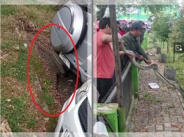 Heboh! Ular Sawa Muncul di Parkiran Pasar Ulin Raya Banjarbaru, Ini Reaksi Kocak Netizen Banua