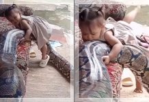 VIRAL! Bocah Bermain dengan Ular Piton Raksasa, Netizen: "Sekali Ngap, Dia Langsung Ngep!"