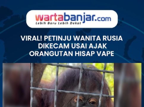 VIDEO - Viral! Petinju Wanita Rusia Dikecam Usai Ajak Orangutan Hisap Vape