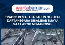 VIDEO - TRAGIS! Remaja 14 Tahun di Kutai Kartanegara Disambar Buaya Saat Asyik Memancing