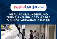 VIDEO - Viral! Aksi Maling Burung Terekam Kamera CCTV Warga di Sungai Andai Banjarmasin