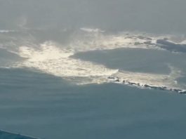 Gelombang Tsunami Terjadi di Jepang, ini Imbauan KBRI