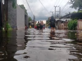 Dinkes Kalsel Siaga Leptospirosis: Perkuat Kolaborasi Cegah “Penyakit Kencing Tikus”