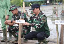 Pesisir Pelabuhan Batang Ditanami Mangrove, Bupati Tanbu : Benteng Alami Abrasi
