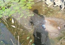 Heboh Semburan Misterius di Gambut, Ternyata Bukan Gas
