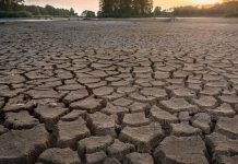 DAFTAR 15 Wilayah yang Masuk Musim Kemarau per Awal Juli 2025! BMKG: Kalsel Sebagian Kecil!