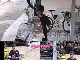 Aksi Maling Burung Terekam Kamera CCTV Warga di Sungai Andai