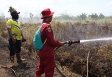 WASPADA KARHUTLA! Kalsel Kerahkan Masyarakat & Teknologi Canggih Hadapi Musim Kemarau 2025