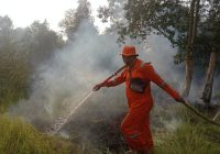 WASPADA! 1.400 Titik Api Kepung Kalsel, Dishut Siaga Total Hadapi Ancaman Karhutla
