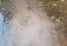 Geger Muncul Semburan Air di Guntung Papuyu Gambut