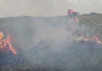 Termasuk Kalsel, BMKG : Potensi Tinggi Karhutla di Pulau Sumatra dan Kalimantan