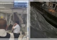 Tokyo Porak-Poranda! Banjir Kilat Hantam Shibuya, Ramalan Ryo Tatsuki Picu Kepanikan Massal!