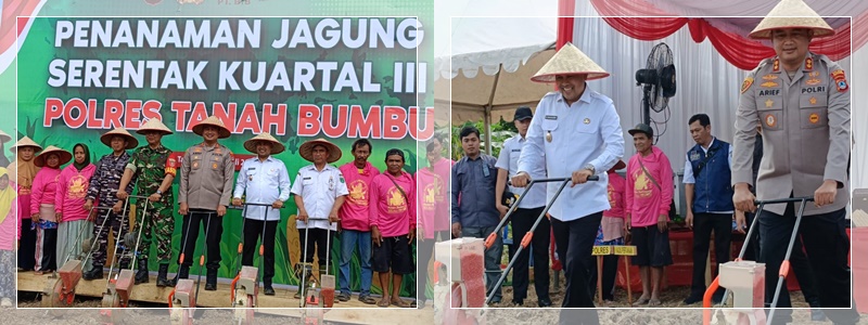 Tanah Bumbu Tanam Jagung Serentak2