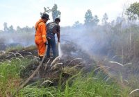 Banjarbaru Siaga Karhutla, 23,2 Hektare Lahan Sudah Terbakar