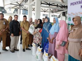 Bulog Salurkan Bantuan Beras 139 Ribu Kg untuk Warga Batola