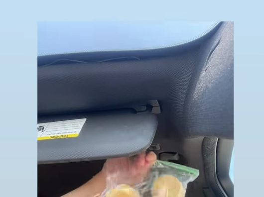 Cerita Terry Putri Jadi WNA di AS Beli Onde-onde Rp 35.000 Sebiji