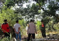 Cegah Karhutla, Polsek Tambang Ulang dan Tim Gabungan Patroli Terpadu Sisir Wilayah Rawan Api