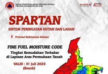 BPBD Rilis Wilayah-wilayah Sangat Mudah Terbakar Hingga Aman Karhutla di Kalsel 31 Juli 2025