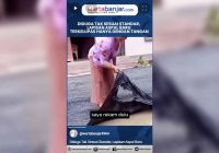 VIDEO - Diduga Tak Sesuai Standar, Lapisan Aspal Baru Terkelupas Hanya dengan Tangan