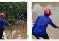 DETIK-DETIK Bocah 14 Tahun di Kutai Kartanegara Diterkam dan Diseret Buaya, Lengah Saat Memancing!