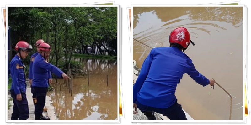 buaya2
