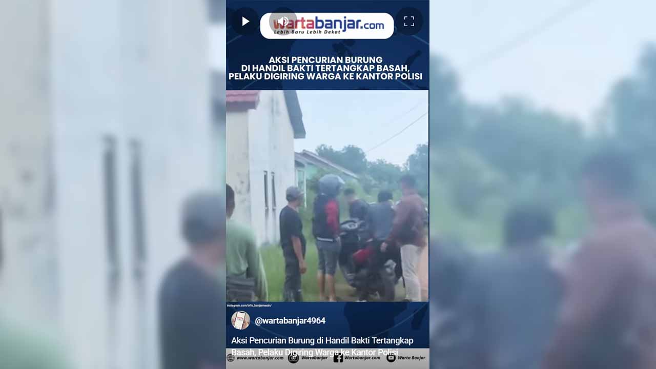 VIDEO - Aksi Pencurian Burung di Handil Bakti Tertangkap Basah, Pelaku Digiring Warga ke Kantor Polisi