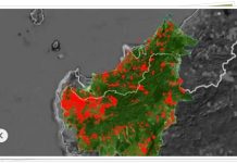 Ada 143 Titik Panas! BMKG Sebut Kalimantan Alami Lonjakan Hotspot Terbanyak