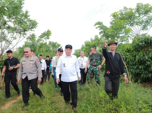Rektor ULM Ternyata Miliki Lahan Jagung dan Kopi, Gubernur Kalsel Langsung Panen