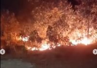 Karhutla Gunung Kupang Membara di Malam Hari, Warga Cemas Api Dekati Permukiman
