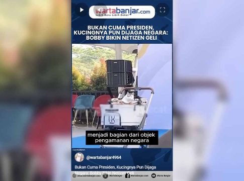 VIDEO - Bukan Cuma Presiden, Kucingnya Pun Dijaga Negara: Bobby Bikin Netizen Geli